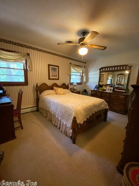 2513 Phillips St, Corning, AR 72422 photo 29
