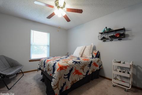 717 Pine Forest Dr, Benton, AR 72019 photo 22