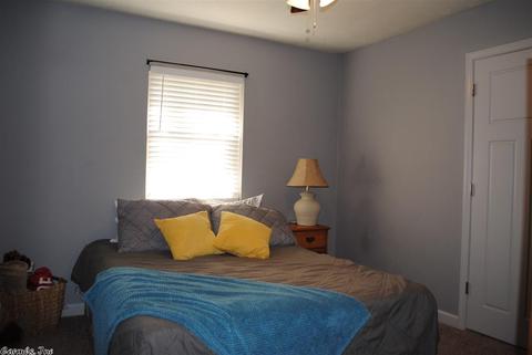8 Eagle Valley Rd, Conway, AR 72032 photo 23
