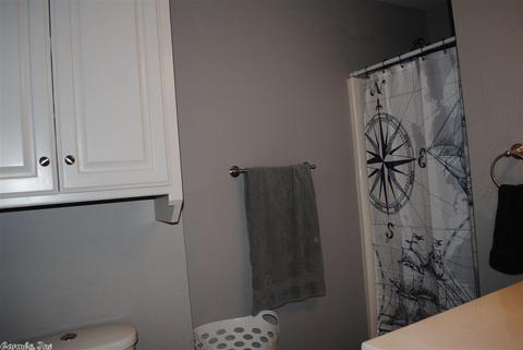 8 Eagle Valley Rd, Conway, AR 72032 photo 21