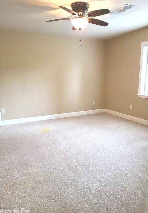 202 Stone, White Hall, AR 71602 photo 22