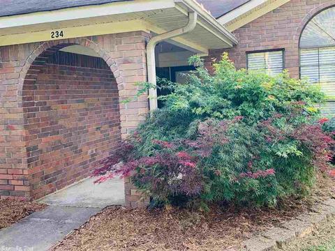 234 Skunk Hollow Rd, Conway, AR 72032 photo 4