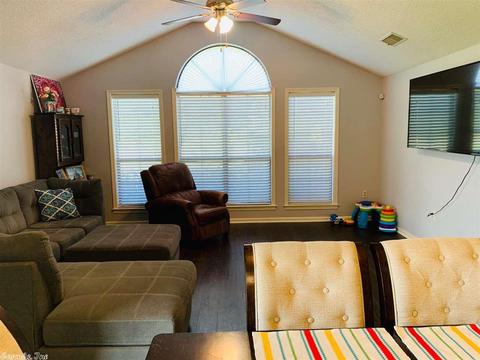 234 Skunk Hollow Rd, Conway, AR 72032 photo 10
