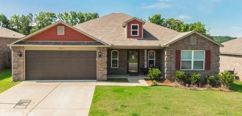 3073 Sage Grass Ln, Alexander, AR 72002 photo 1