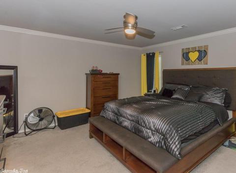 3073 Sage Grass Ln, Alexander, AR 72002 photo 8