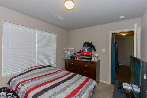 3073 Sage Grass Ln, Alexander, AR 72002 photo 13