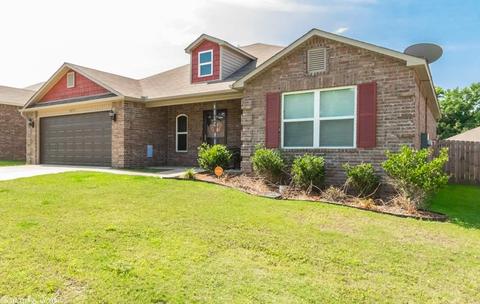 3073 Sage Grass Ln, Alexander, AR 72002 photo 2