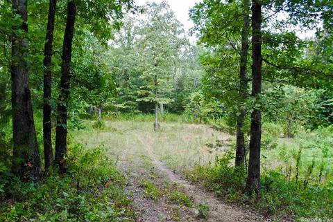 93 Ashberry Ln, Quitman, AR 72131 photo 13