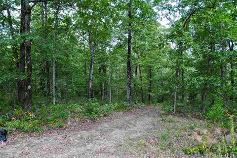 93 Ashberry Ln, Quitman, AR 72131 photo 7