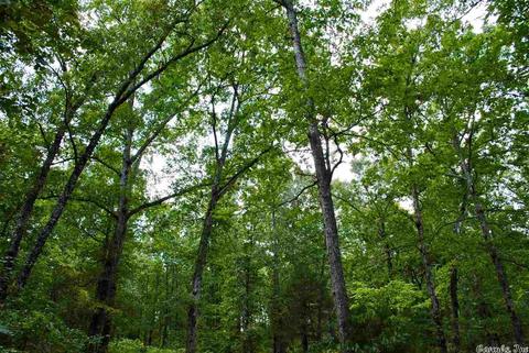 93 Ashberry Ln, Quitman, AR 72131 photo 12