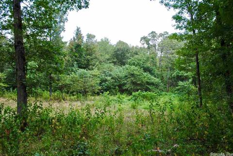 93 Ashberry Ln, Quitman, AR 72131 photo 14
