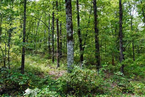 93 Ashberry Ln, Quitman, AR 72131 photo 18