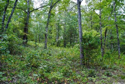 93 Ashberry Ln, Quitman, AR 72131 photo 11