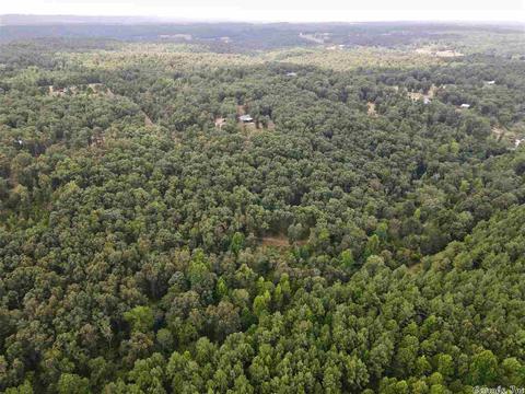 93 Ashberry Ln, Quitman, AR 72131 photo 37