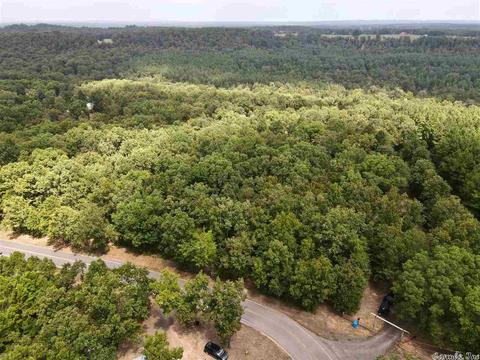 93 Ashberry Ln, Quitman, AR 72131 photo 34