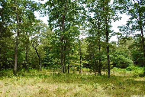 93 Ashberry Ln, Quitman, AR 72131 photo 17