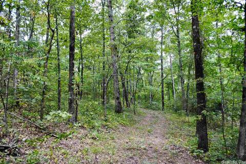 93 Ashberry Ln, Quitman, AR 72131 photo 21