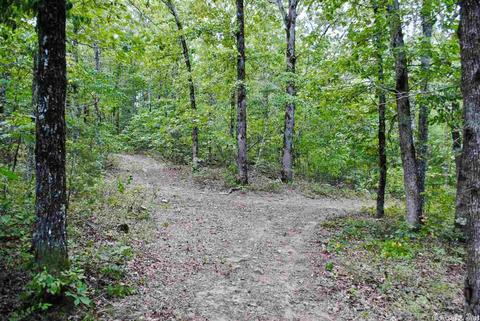 93 Ashberry Ln, Quitman, AR 72131 photo 10