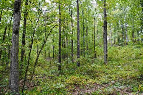 93 Ashberry Ln, Quitman, AR 72131 photo 19