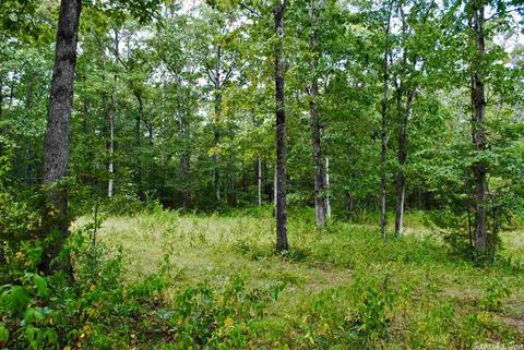 93 Ashberry Ln, Quitman, AR 72131 photo 15
