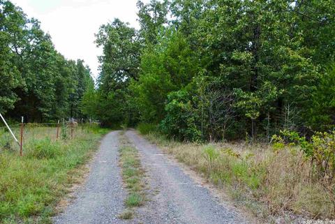 93 Ashberry Ln, Quitman, AR 72131 photo 28