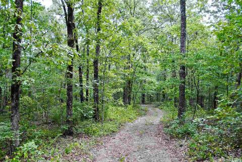 93 Ashberry Ln, Quitman, AR 72131 photo 8