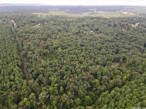 93 Ashberry Ln, Quitman, AR 72131 photo 36