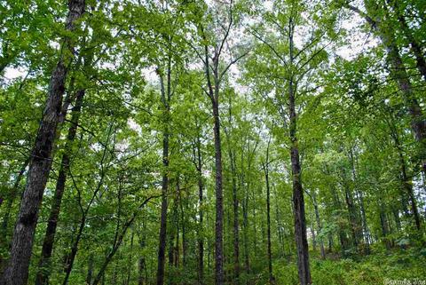 93 Ashberry Ln, Quitman, AR 72131 photo 20