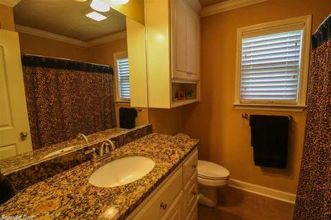105 Cedar Creek Cv, Cabot, AR 72023 photo 27