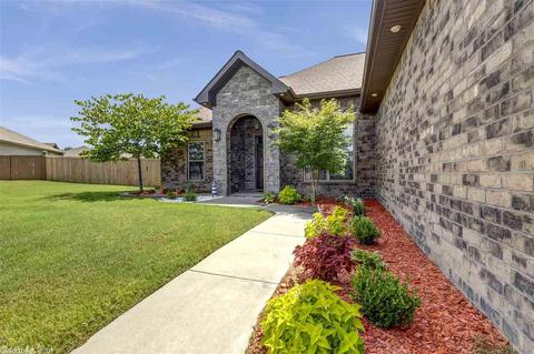 43 Pebble Loop, Sheridan, AR 72150 photo 3