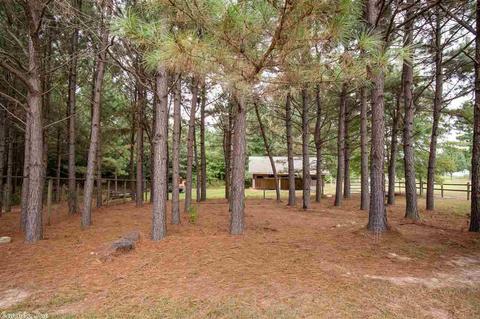 8413 E Fairview Rd, Hensley, AR 72065 photo 19