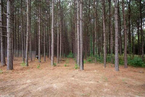 8413 E Fairview Rd, Hensley, AR 72065 photo 27