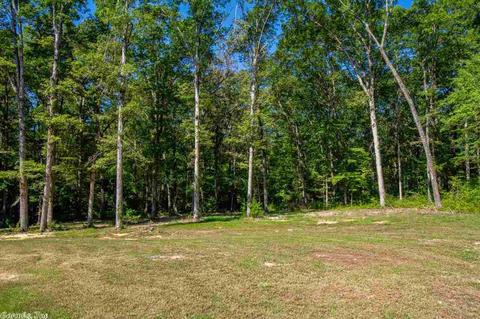 3151 Hwy 35, Benton, AR 72015 photo 36