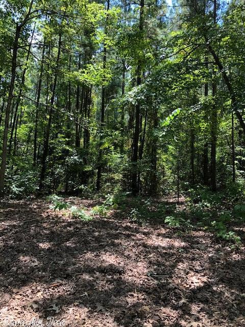 4080 Kentner Rd, Benton, AR 72015 photo 23