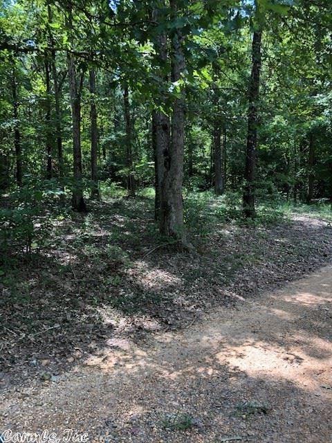 4080 Kentner Rd, Benton, AR 72015 photo 30