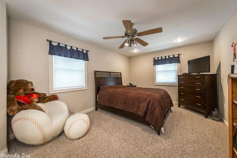 125 Davidson Cir, Edgemont, AR 72044 photo 21