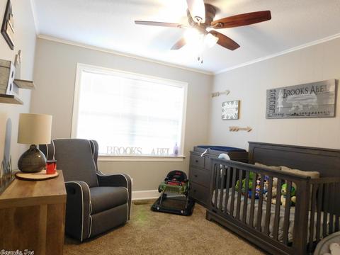 357 Hwy 62412, Ash Flat, AR 72513 photo 11