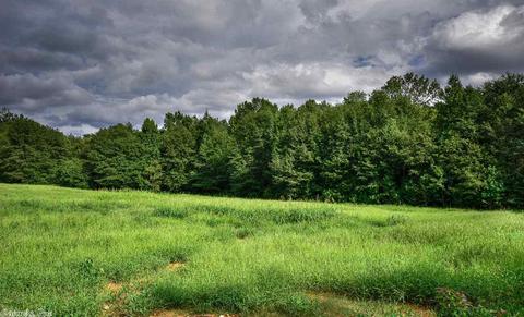 575 Polk Road 18, Vandervoort, AR 71972 photo 38