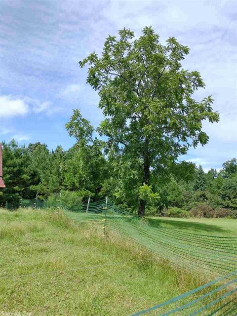 54 Wells Rd, Amity, AR 71921 photo 28