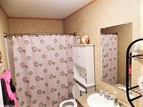 18 Loretta Ln, Greenbrier, AR 72058 photo 20