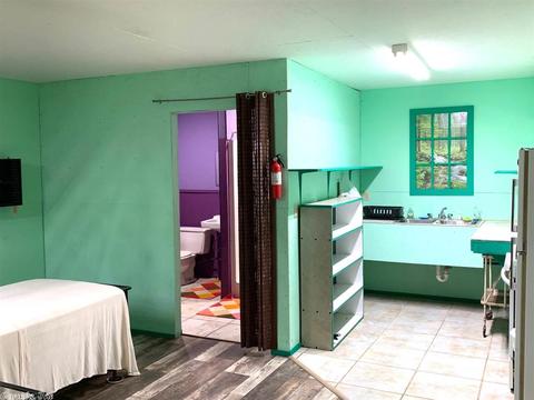 226 Terry Ln, Clinton, AR 72031 photo 33