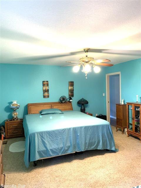 226 Terry Ln, Clinton, AR 72031 photo 23
