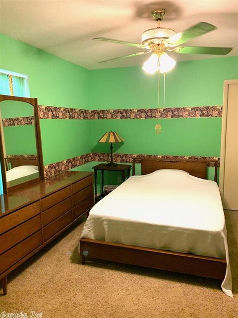 226 Terry Ln, Clinton, AR 72031 photo 14