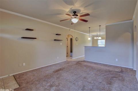 12199 Big Rdg, Alexander, AR 72002 photo 8
