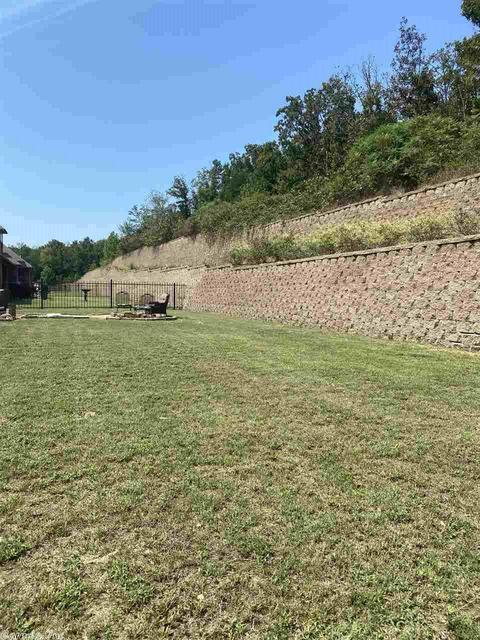 5480 Lost Canyon Dr, Conway, AR 72034 photo 19