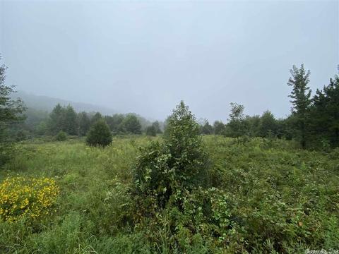 148 Gray Ln, Quitman, AR 72131 photo 4