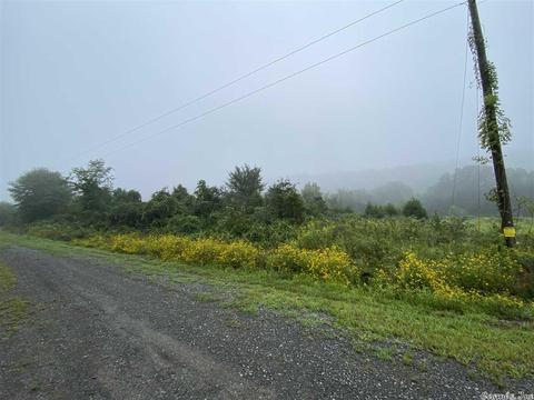 148 Gray Ln, Quitman, AR 72131 photo 2