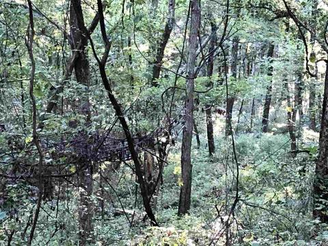 3108 E Westview Rd, Ozark, AR 72949 photo 20