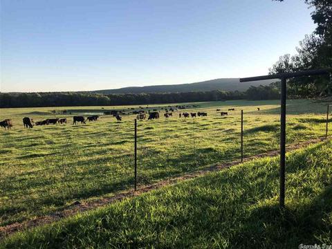 3108 E Westview Rd, Ozark, AR 72949 photo 3