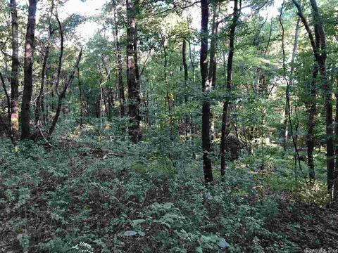 3108 E Westview Rd, Ozark, AR 72949 photo 19